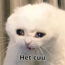 meme hết cứu 36