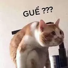 meme hỏi chấm 13
