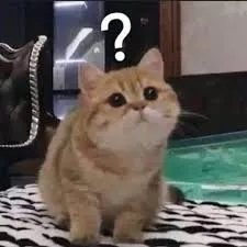 meme hỏi chấm 18
