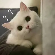 meme hỏi chấm 23