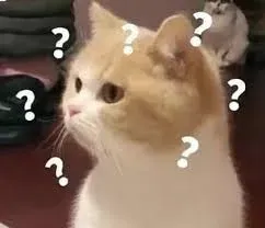 meme hỏi chấm 25