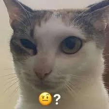 meme hỏi chấm 26