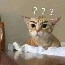 meme hỏi chấm 27
