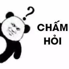 meme hỏi chấm 31