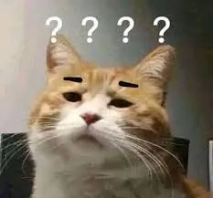 meme hỏi chấm 38