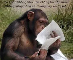 meme khỉ 34