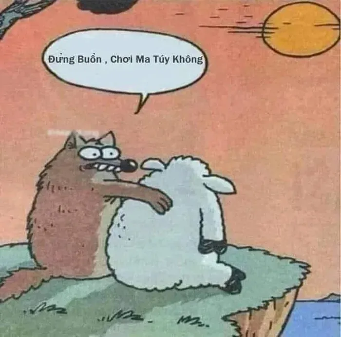 meme không 11