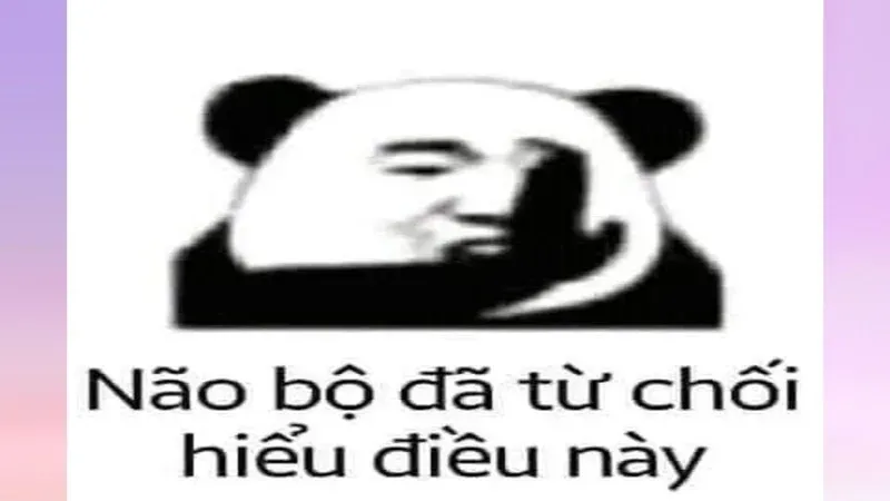 meme không 30