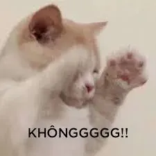 meme không 39