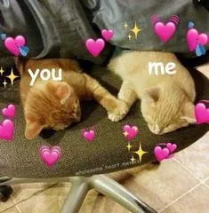 meme love 8