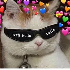 meme love 25