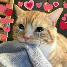 meme love 31