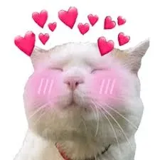 meme love 37