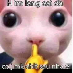 meme ngón giữa 6