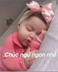 meme ngủ ngon 8