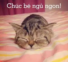 meme ngủ ngon 9
