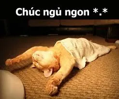 meme ngủ ngon 11