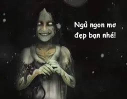 meme ngủ ngon 14