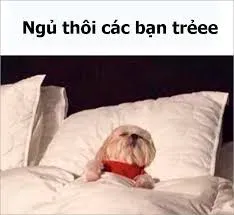 meme ngủ ngon 6