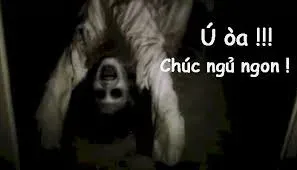 meme ngủ ngon 21