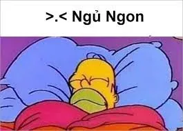 meme ngủ ngon 23