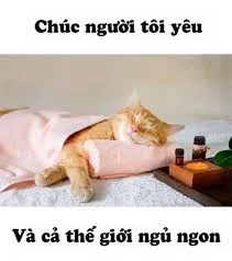 meme ngủ ngon 31