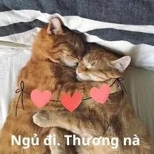 meme ngủ ngon 35
