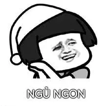 meme ngủ ngon 25