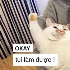 meme ok 20