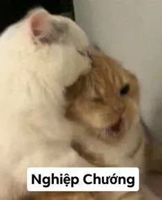 meme ôm 4