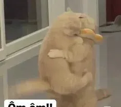 meme ôm 6
