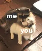 meme ôm 29