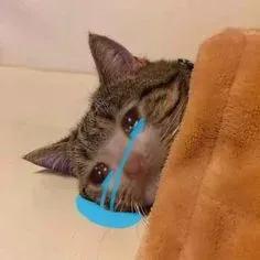 meme sad 5