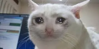 meme sad 30