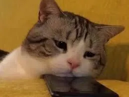 meme sad 37