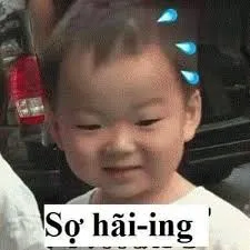 meme sợ hãi 19