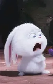meme sợ hãi 21