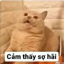 meme sợ hãi 35
