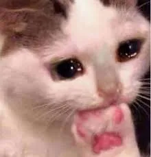 meme sợ hãi 38