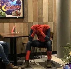 meme spiderman 20