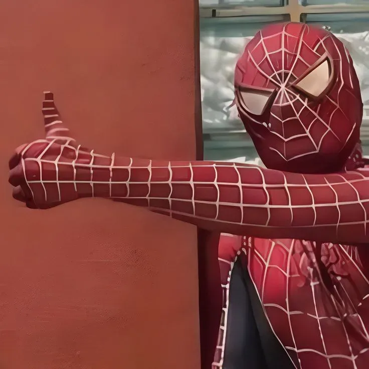 meme spiderman 28