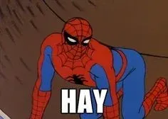 meme spiderman 29