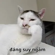meme suy nghĩ 32