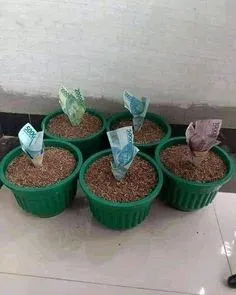 meme tiền 18
