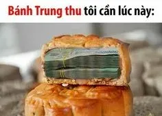 meme tiền 19