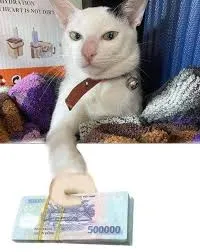 meme tiền 20