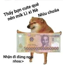 meme tiền 21
