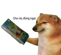 meme tiền 26