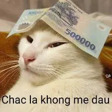 meme tiền 35