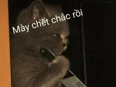 meme tức 19